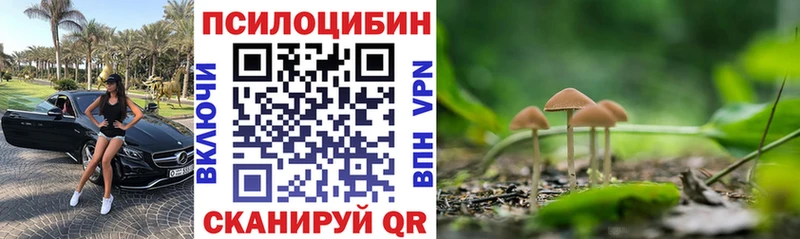закладка  mega ТОР  Псилоцибиновые грибы Cubensis  Холм 