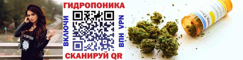 МАРИХУАНА семена  Холм 